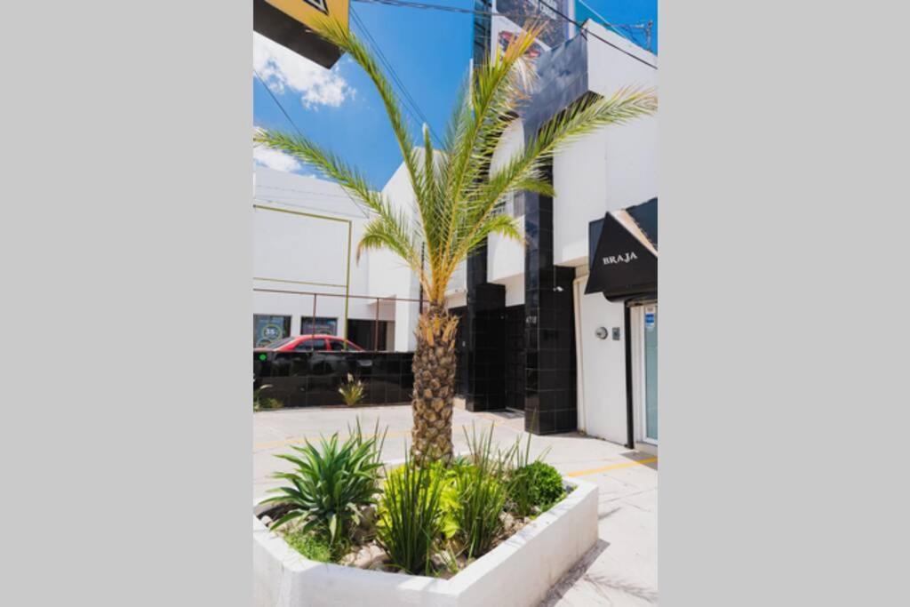 Departamento Res Campestre De 3 Habitaciones Y 4 Camas Chihuahua Exterior foto